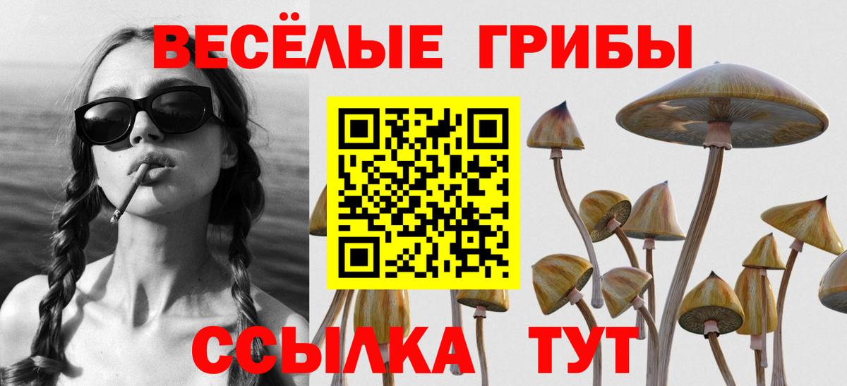 Псилоцибиновые грибы прущие грибы  Вход с VPN  Курчалой  Псилоцибиновые грибы Magic Shrooms 