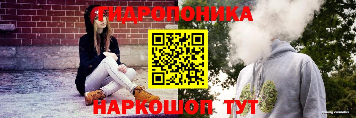 Конопля OG Kush  Вход с VPN  Курчалой  Бошки марихуана конопля 